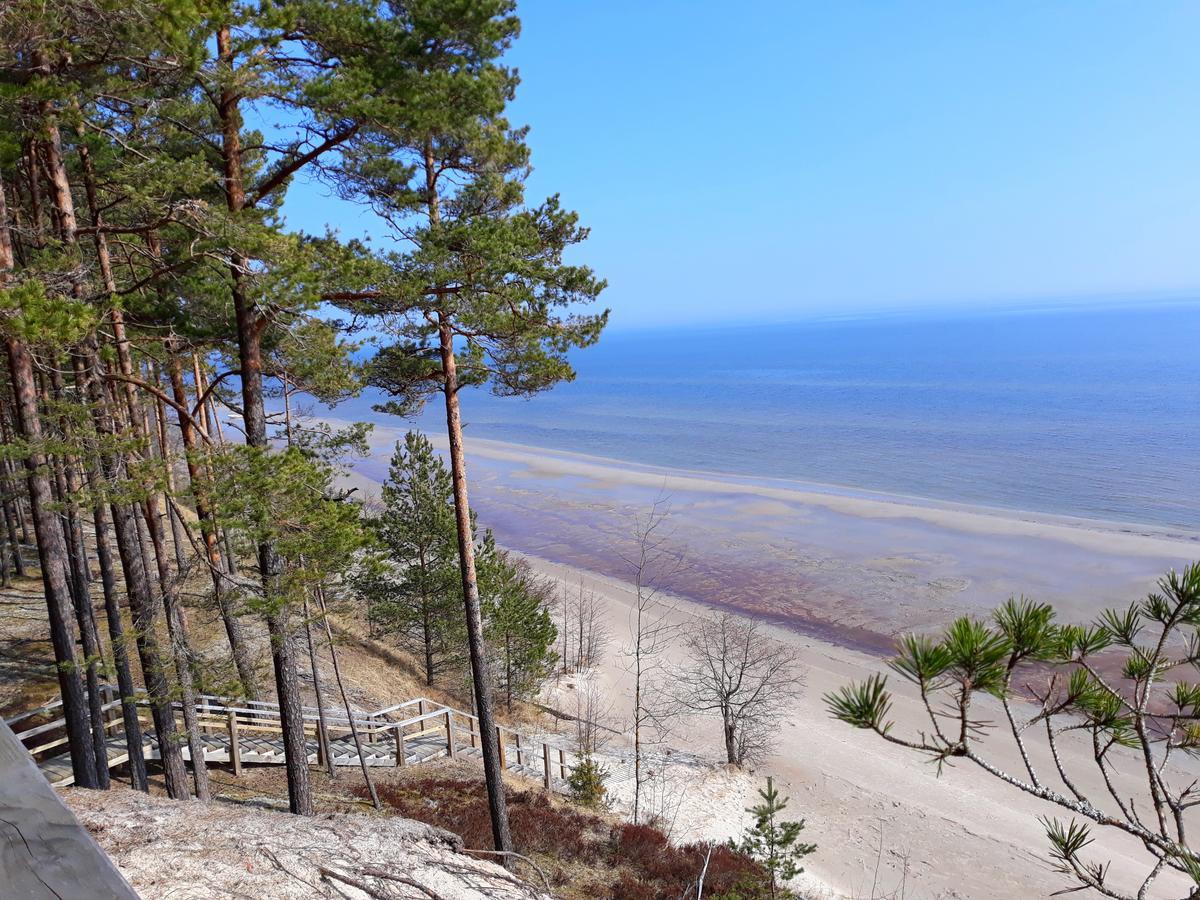 Atputas Vieta Braltirumi Purciems Экстерьер фото